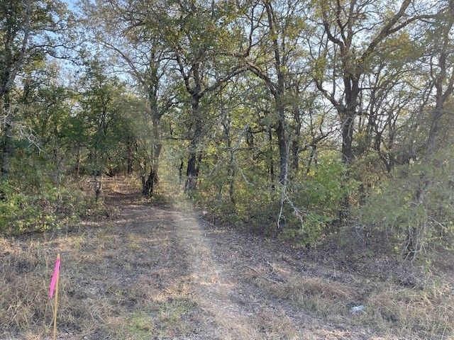 TBD Comewell Court, Runaway Bay, TX 76426