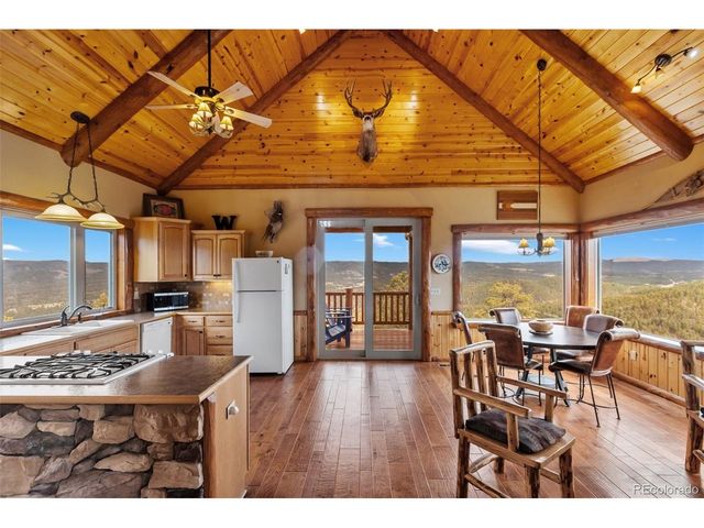29549 N Highway 67, Woodland Park, CO 80863