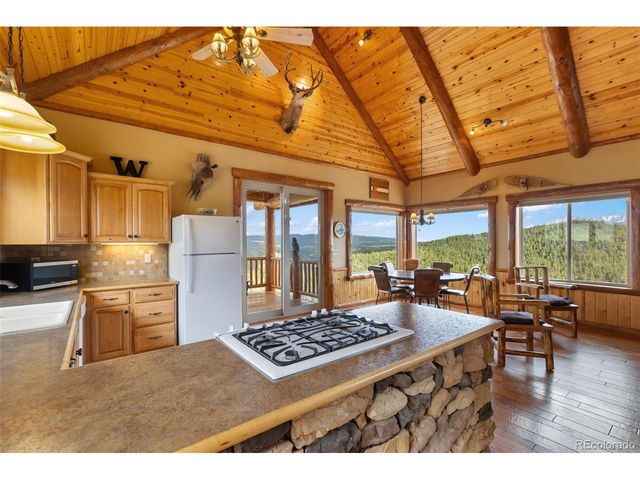 29549 N Highway 67, Woodland Park, CO 80863