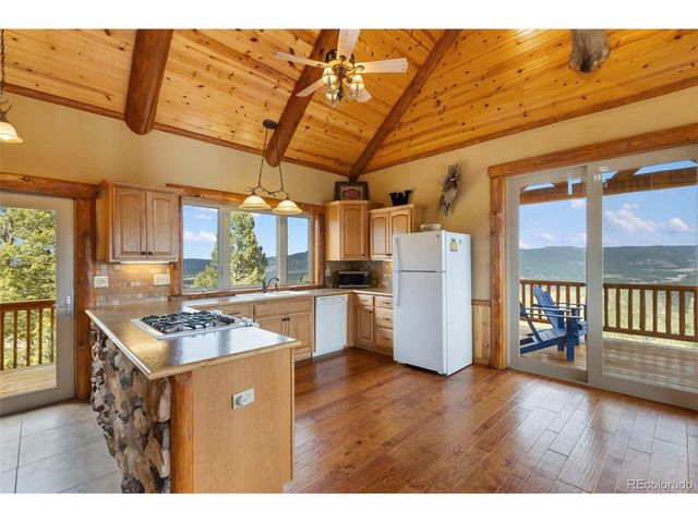29549 N Highway 67, Woodland Park, CO 80863