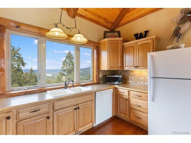 29549 N Highway 67, Woodland Park, CO 80863