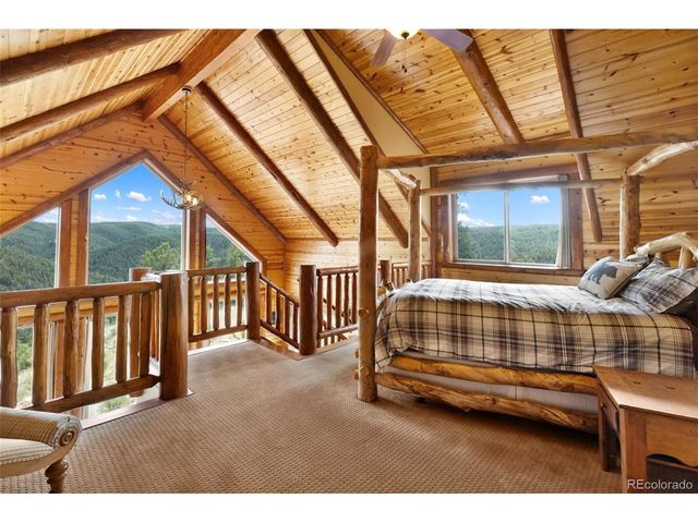 29549 N Highway 67, Woodland Park, CO 80863