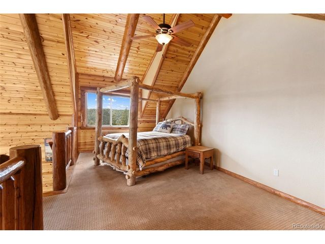 29549 N Highway 67, Woodland Park, CO 80863