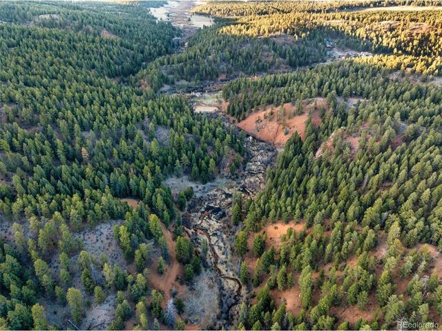 29549 N Highway 67, Woodland Park, CO 80863