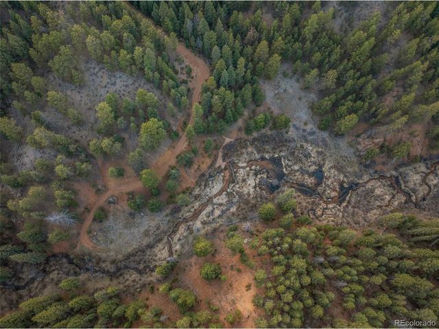 29549 N Highway 67, Woodland Park, CO 80863