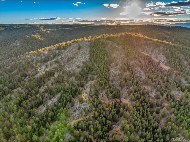 29549 N Highway 67, Woodland Park, CO 80863