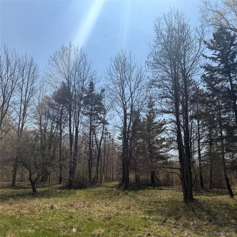 11779 Dunn Road, St. Clair, MI 48041