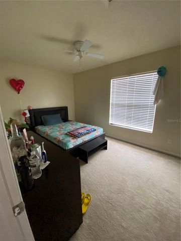 5166 SUNRIDGE PALMS DRIVE, Tampa, FL 33617