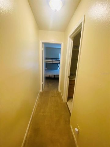 5166 SUNRIDGE PALMS DRIVE, Tampa, FL 33617