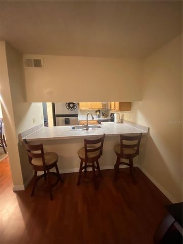 5166 SUNRIDGE PALMS DRIVE, Tampa, FL 33617