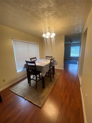 5166 SUNRIDGE PALMS DRIVE, Tampa, FL 33617