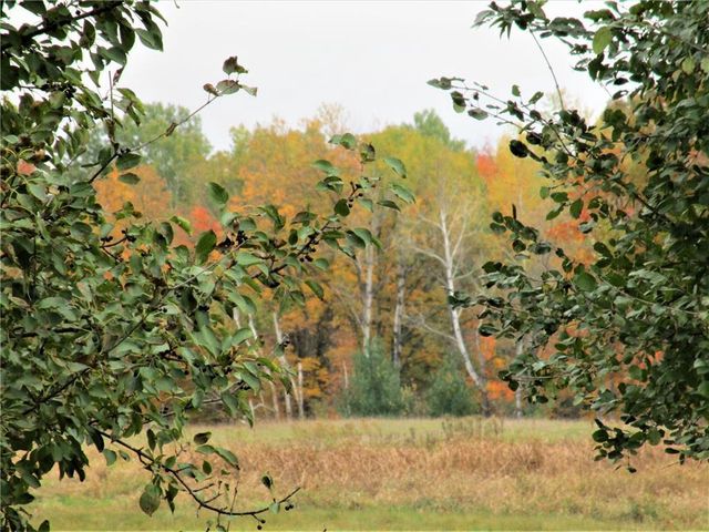 Parcel 3 90th Street, Frederic, WI 54837