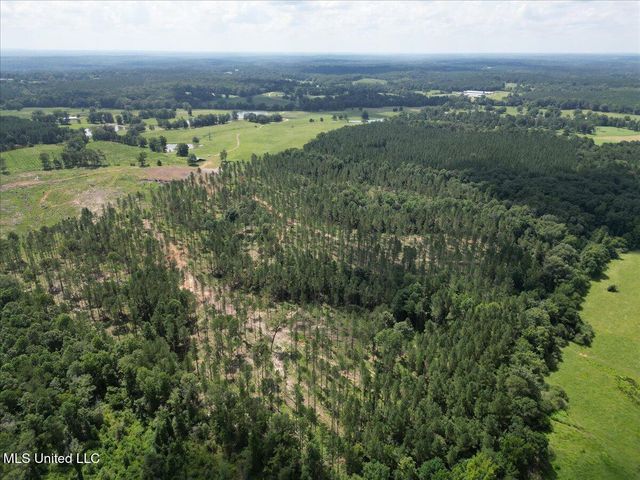 768 Scr 32 A, Forest, MS 39074