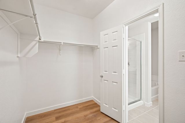 1705 Zebra Finch Drive, Little Elm, TX 75068