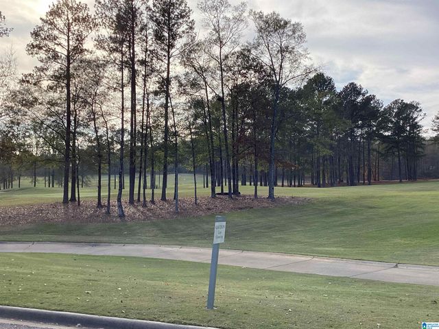 1001 ARONIMINK DRIVE, Calera, AL 35040