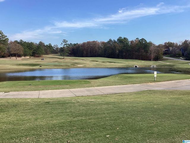 1001 ARONIMINK DRIVE, Calera, AL 35040