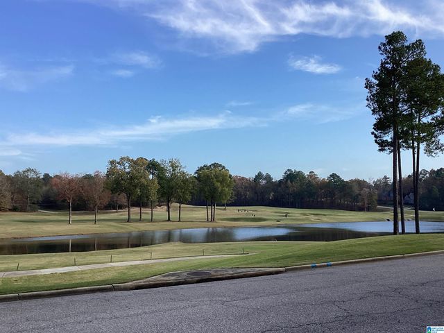 1001 ARONIMINK DRIVE, Calera, AL 35040