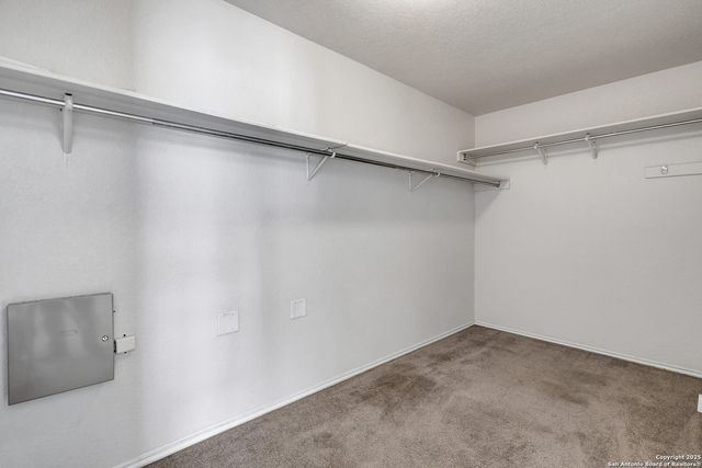 10602 Butterfly Flt, San Antonio, TX 78254