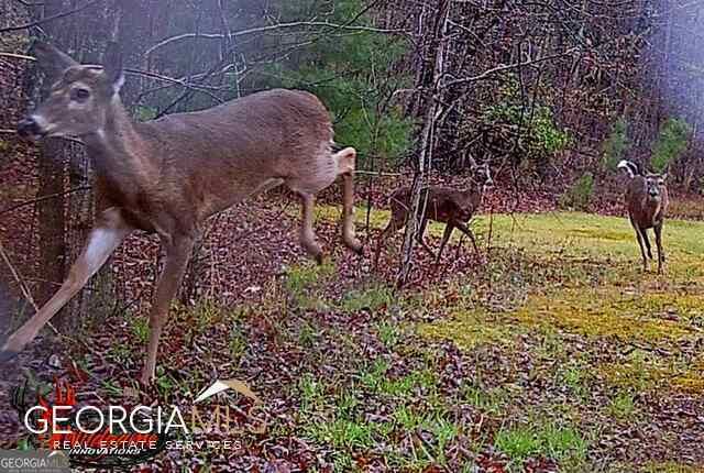 1994 Camp Creek Road, Lakemont, GA 30552