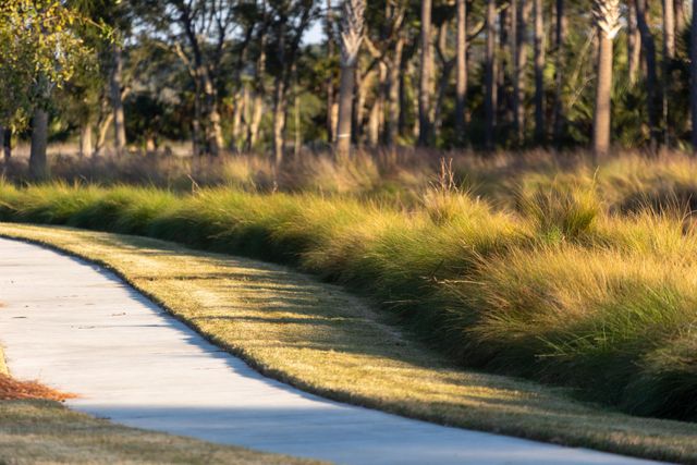 809 Roddin Street, Daniel Island, SC 29492