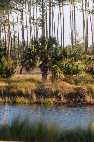 809 Roddin Street, Daniel Island, SC 29492