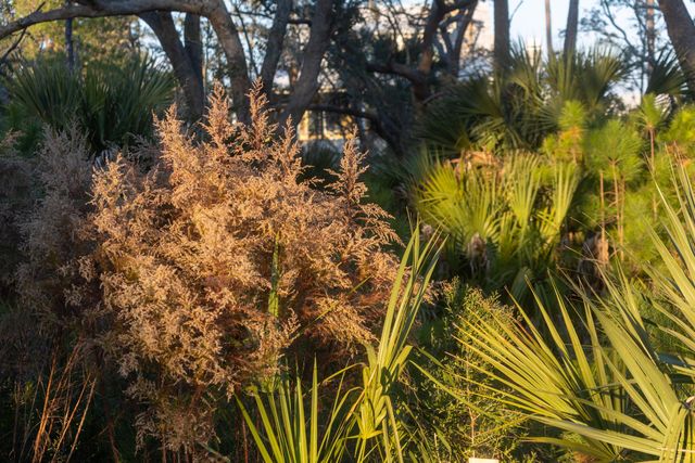 809 Roddin Street, Daniel Island, SC 29492