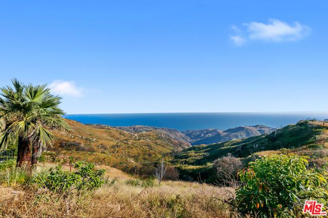 23010 Saddle Peak Road, Topanga (los Angeles), CA 90290