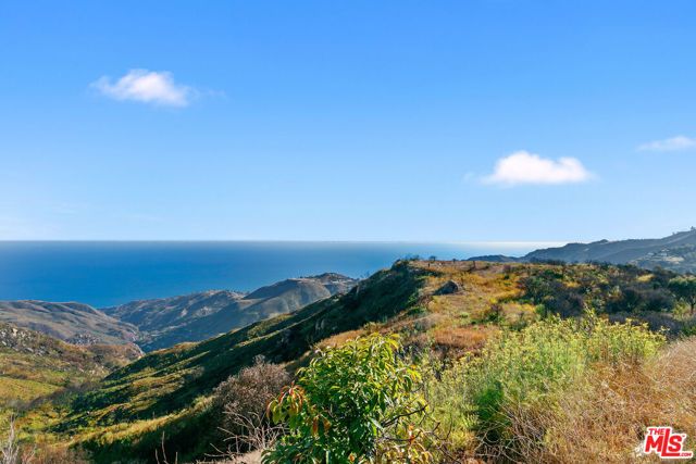 23010 Saddle Peak Road, Topanga (los Angeles), CA 90290