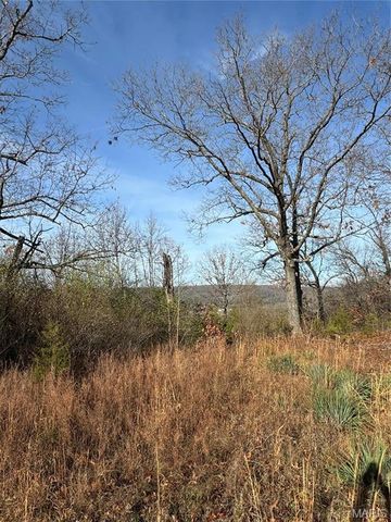 0 Highway 28, Dixon, MO 65459