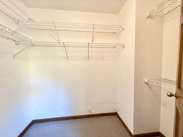 879 N Auburn Woods Drive, Palatine, IL 60067
