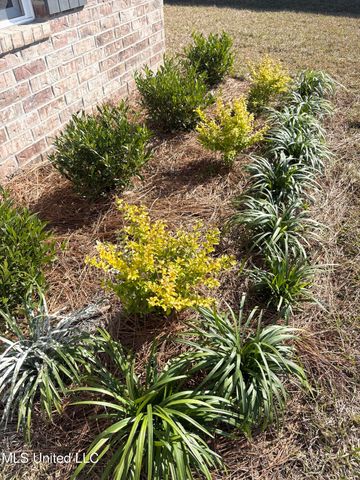 14598 Marmon Cove, Gulfport, MS 39503