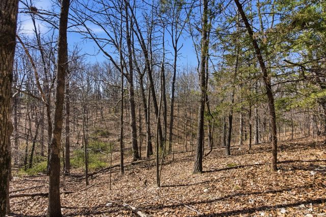 121 State Highway Kk, Galena, MO 65656