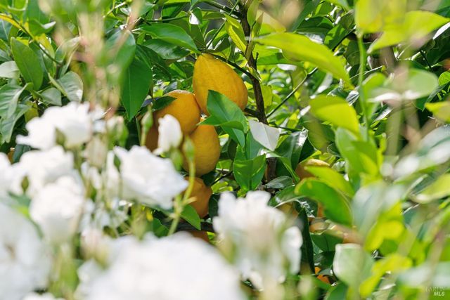 4990 Lakepointe Cir, Santa Rosa, CA 95403