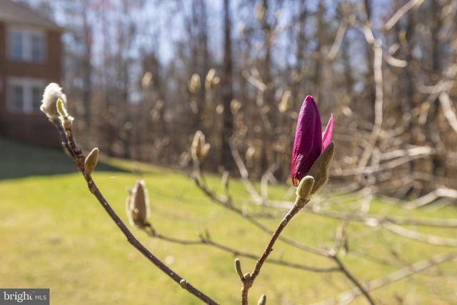 15 WINNING COLORS RD, Stafford, VA 22556