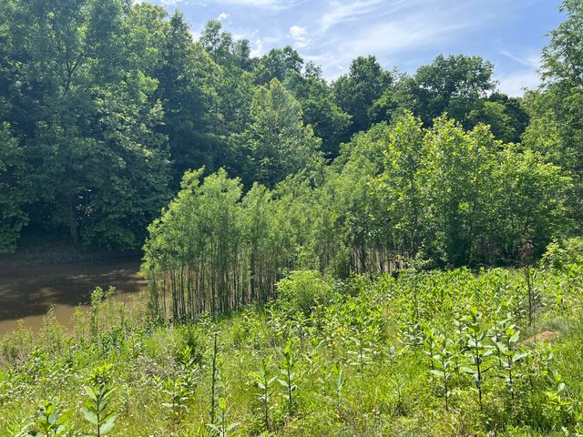 1227 Little Crooked Creek Road, Lawrenceburg, KY 40342