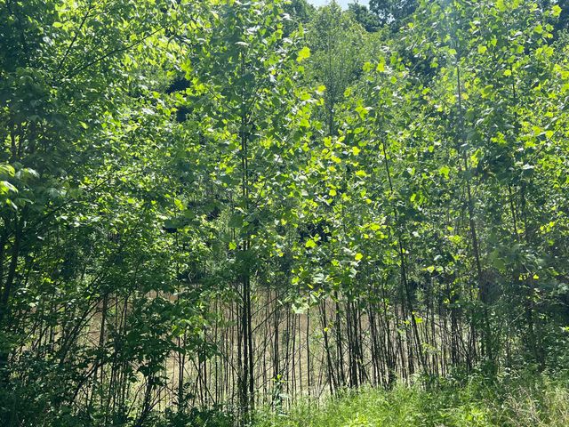 1227 Little Crooked Creek Road, Lawrenceburg, KY 40342