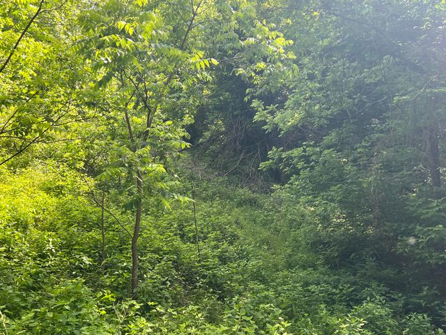 1227 Little Crooked Creek Road, Lawrenceburg, KY 40342