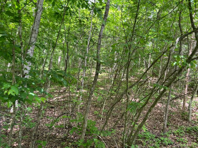 1227 Little Crooked Creek Road, Lawrenceburg, KY 40342