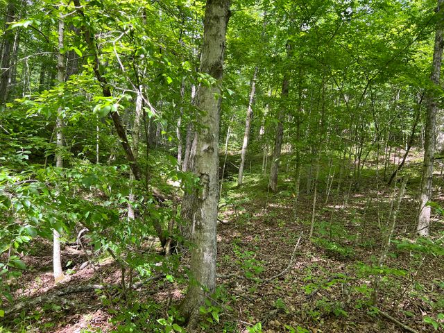 1227 Little Crooked Creek Road, Lawrenceburg, KY 40342