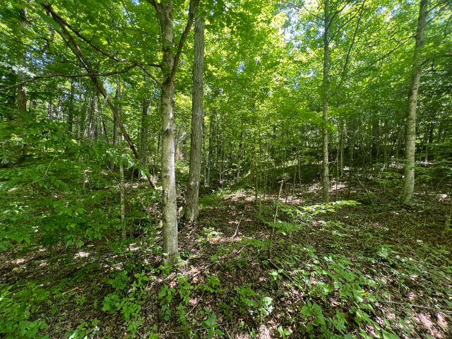 1227 Little Crooked Creek Road, Lawrenceburg, KY 40342