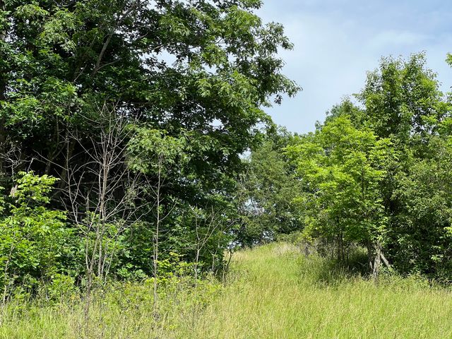 1227 Little Crooked Creek Road, Lawrenceburg, KY 40342