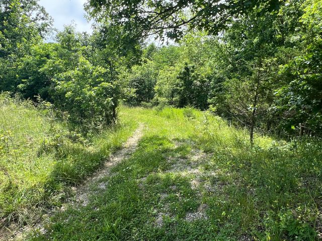 1227 Little Crooked Creek Road, Lawrenceburg, KY 40342