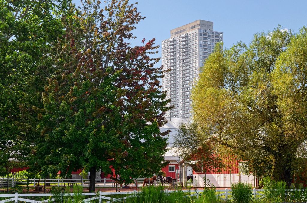 2020 N LINCOLN PARK WEST 9J, Chicago, IL 60614