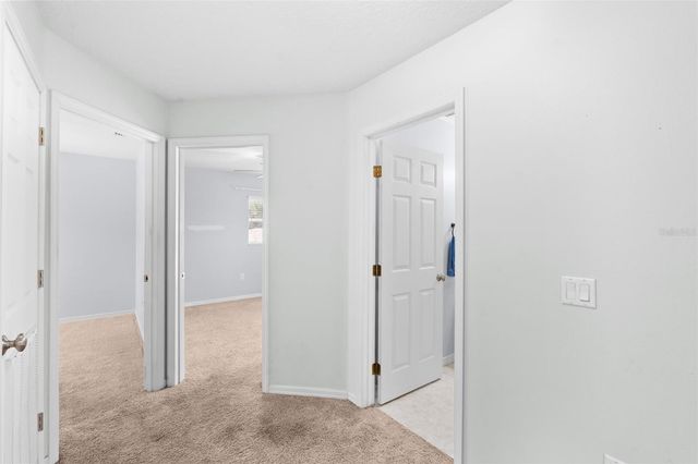 11913 MANGO GROVES BOULEVARD, Seffner, FL 33584