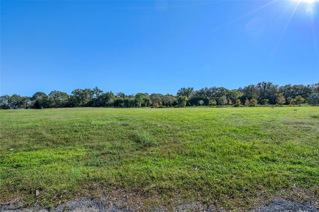10948 DOWN PARK LANE, Windermere, FL 34786