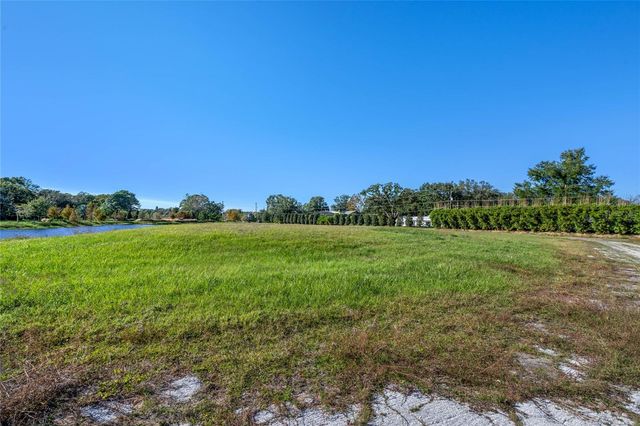 10948 DOWN PARK LANE, Windermere, FL 34786