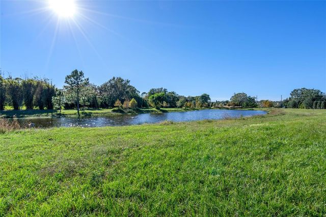 10948 DOWN PARK LANE, Windermere, FL 34786