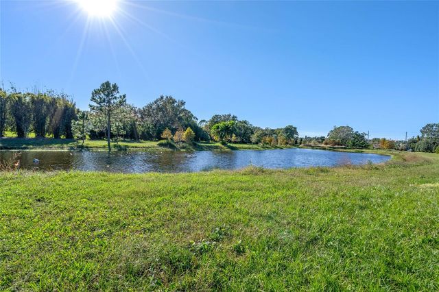 10948 DOWN PARK LANE, Windermere, FL 34786