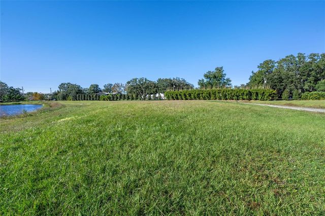 10948 DOWN PARK LANE, Windermere, FL 34786