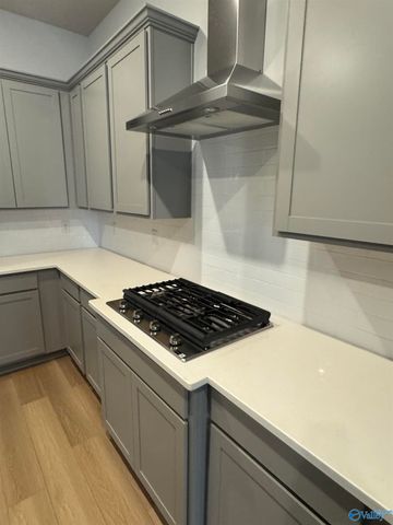 113 Moss Brook Lane, Madison, AL 35757